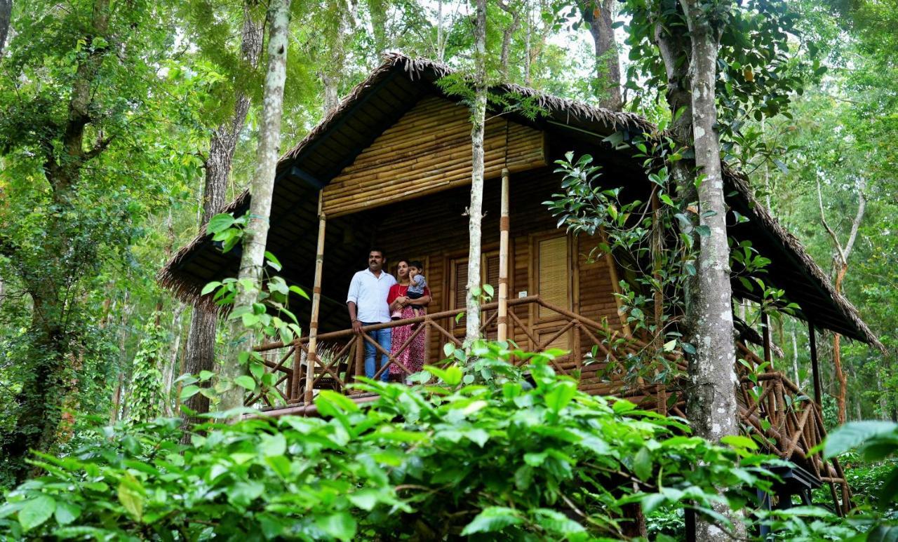 Adrak Mountain Mist Forest Resort Pulpally Eksteriør bilde